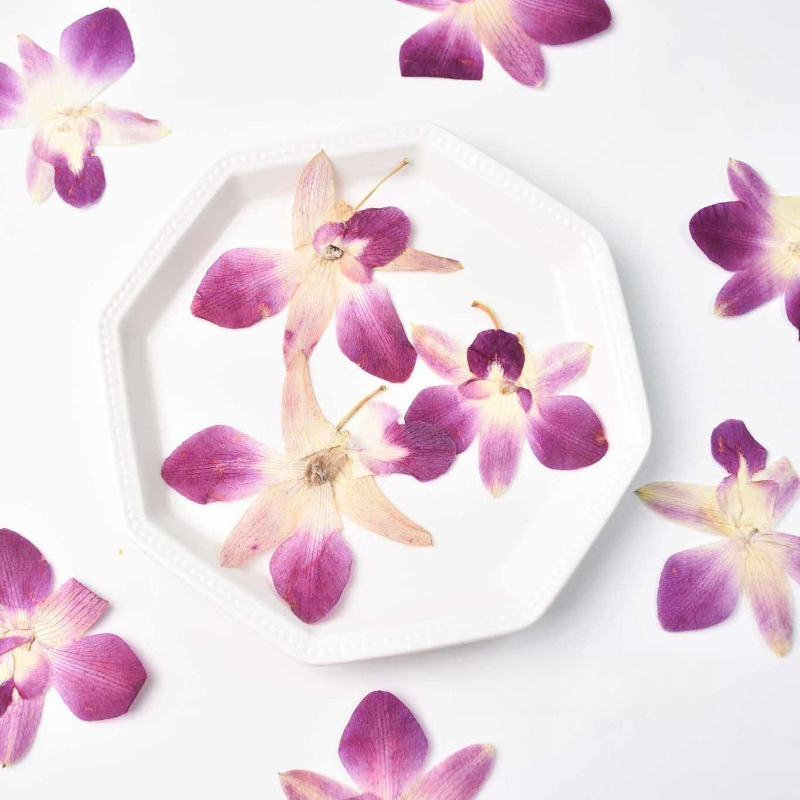 Resin Craft Ideas - 4 pièces, véritables fleurs d'orchidée papillon
