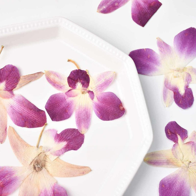 4 pièces, véritables fleurs d' - Resin Craft Ideas avis et prix