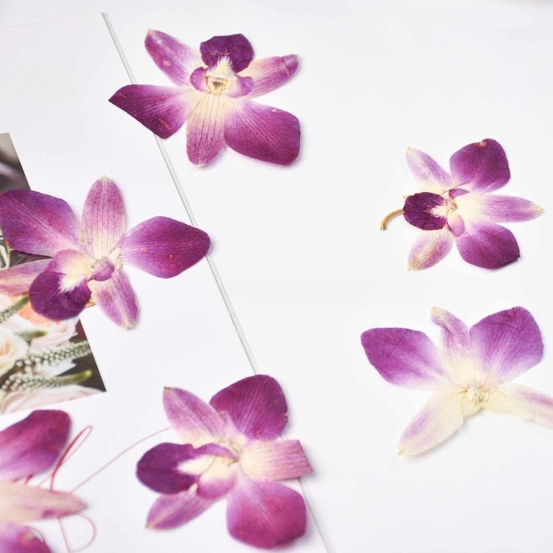 4 pièces, véritables fleurs d' - Resin Craft Ideas avis et prix