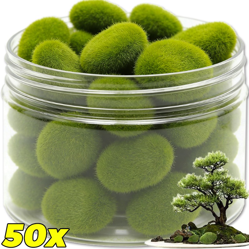50/5 PIÈCES Pierres artificiel - Terrarium Moss Art avis et prix